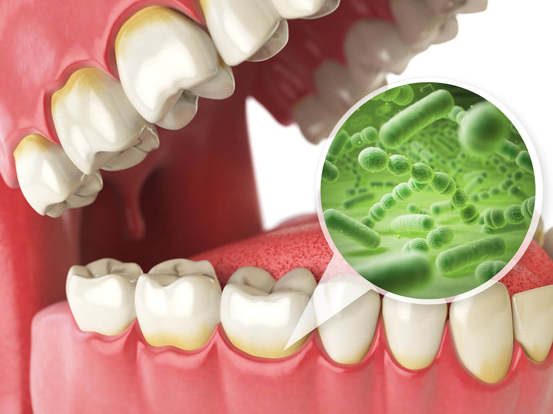 How Long Until a Tooth Infection Kills You?